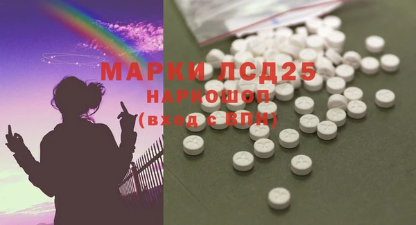 ПСИЛОЦИБИНОВЫЕ ГРИБЫ Горнозаводск