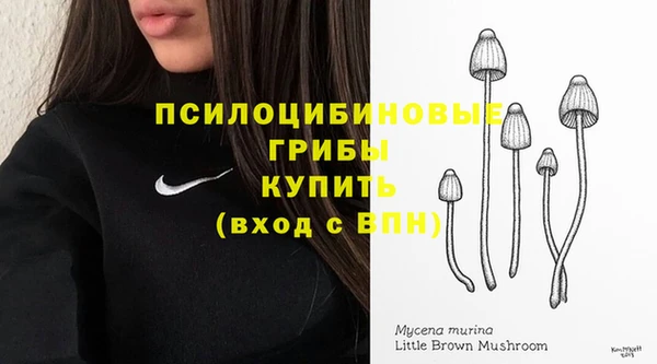 ПСИЛОЦИБИНОВЫЕ ГРИБЫ Горнозаводск