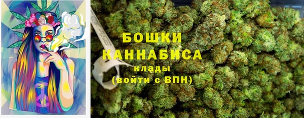ПСИЛОЦИБИНОВЫЕ ГРИБЫ Горнозаводск