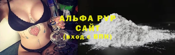 ПСИЛОЦИБИНОВЫЕ ГРИБЫ Горнозаводск