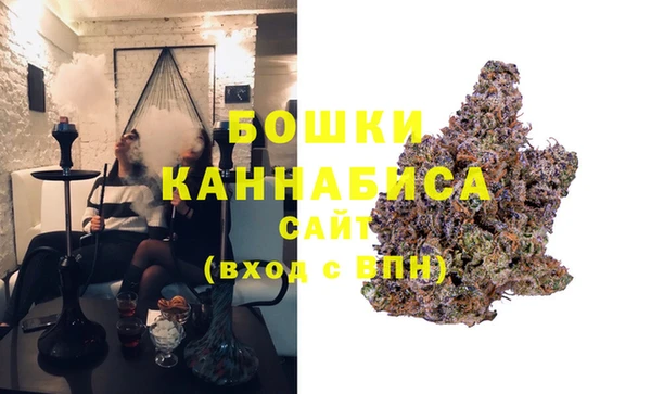 ПСИЛОЦИБИНОВЫЕ ГРИБЫ Горнозаводск