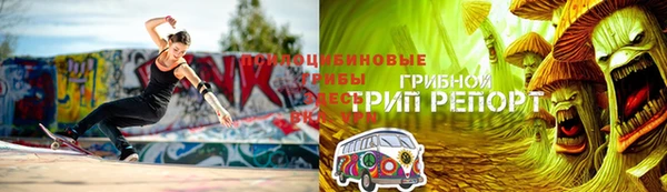 ПСИЛОЦИБИНОВЫЕ ГРИБЫ Горнозаводск