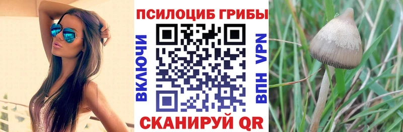 Купить закладки  Нарьян-Мар  Псилоцибиновые грибы GOLDEN TEACHER 